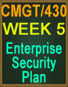 CMGT430 WEEK 5 ENTERPRISE SECURITY PLAN